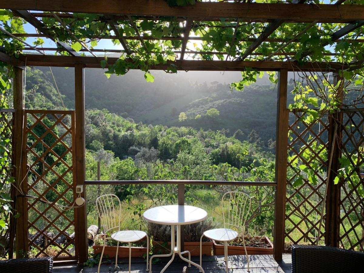 Barco Mediceo B&B In Toscana Carmignano Eksteriør bilde
