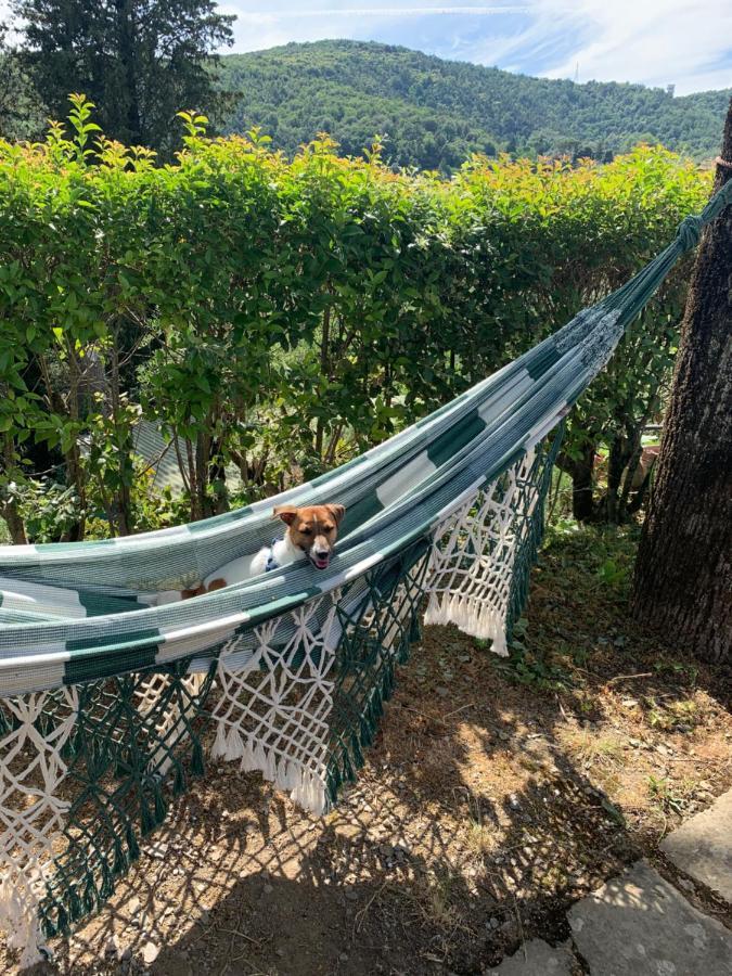 Barco Mediceo B&B In Toscana Carmignano Eksteriør bilde
